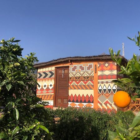 Afrikan Krisant Tenerife, Casa Rural Ecologica Arafo Exterior photo
