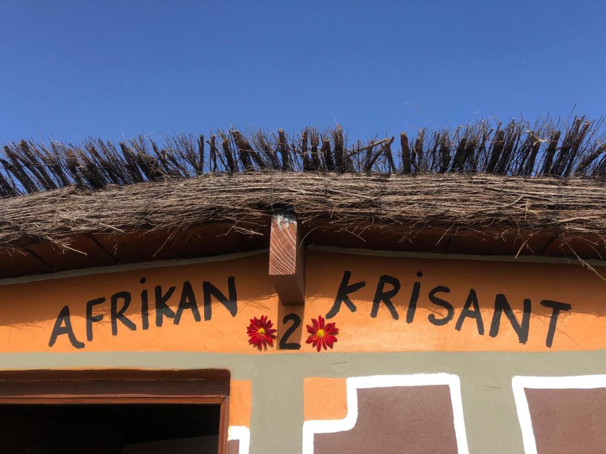 Afrikan Krisant Tenerife, Casa Rural Ecologica Arafo Exterior photo