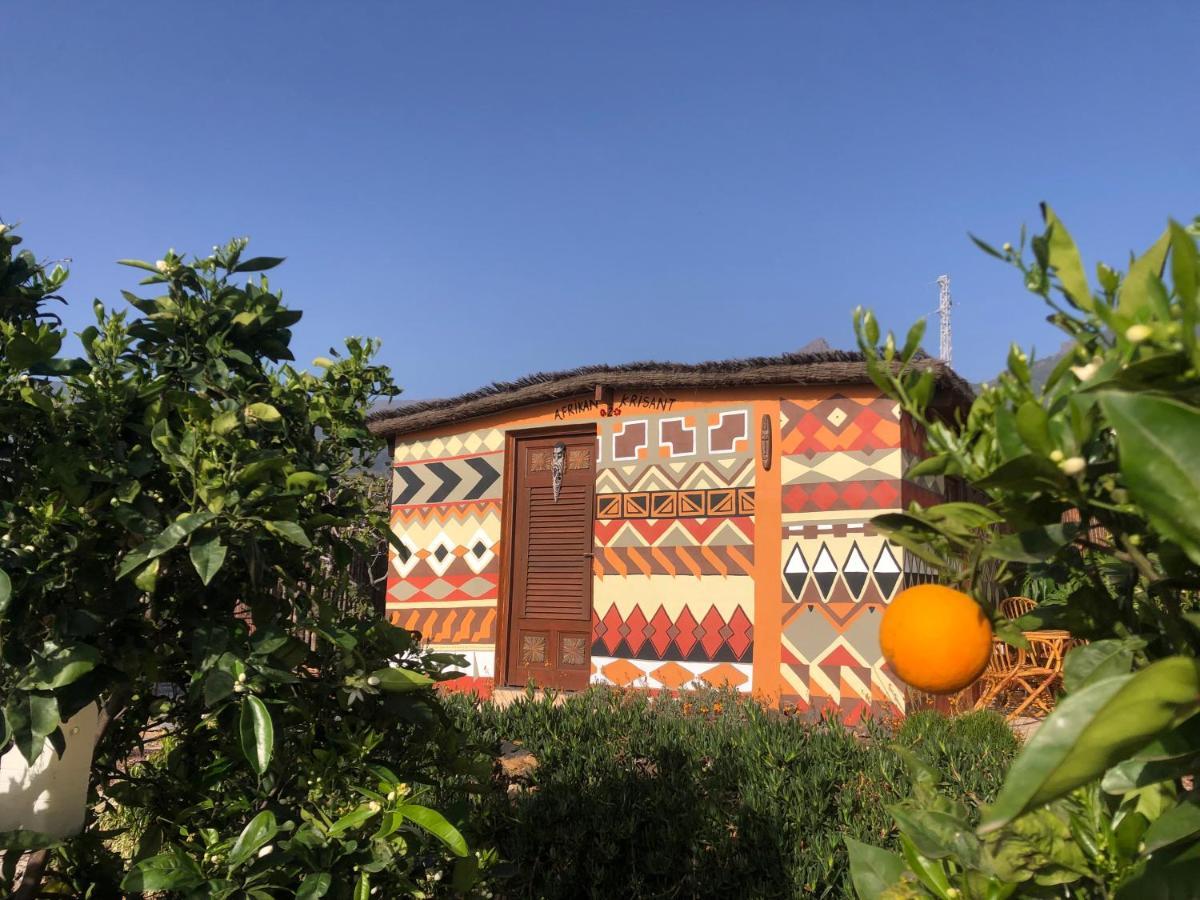 Afrikan Krisant Tenerife, Casa Rural Ecologica Arafo Exterior photo