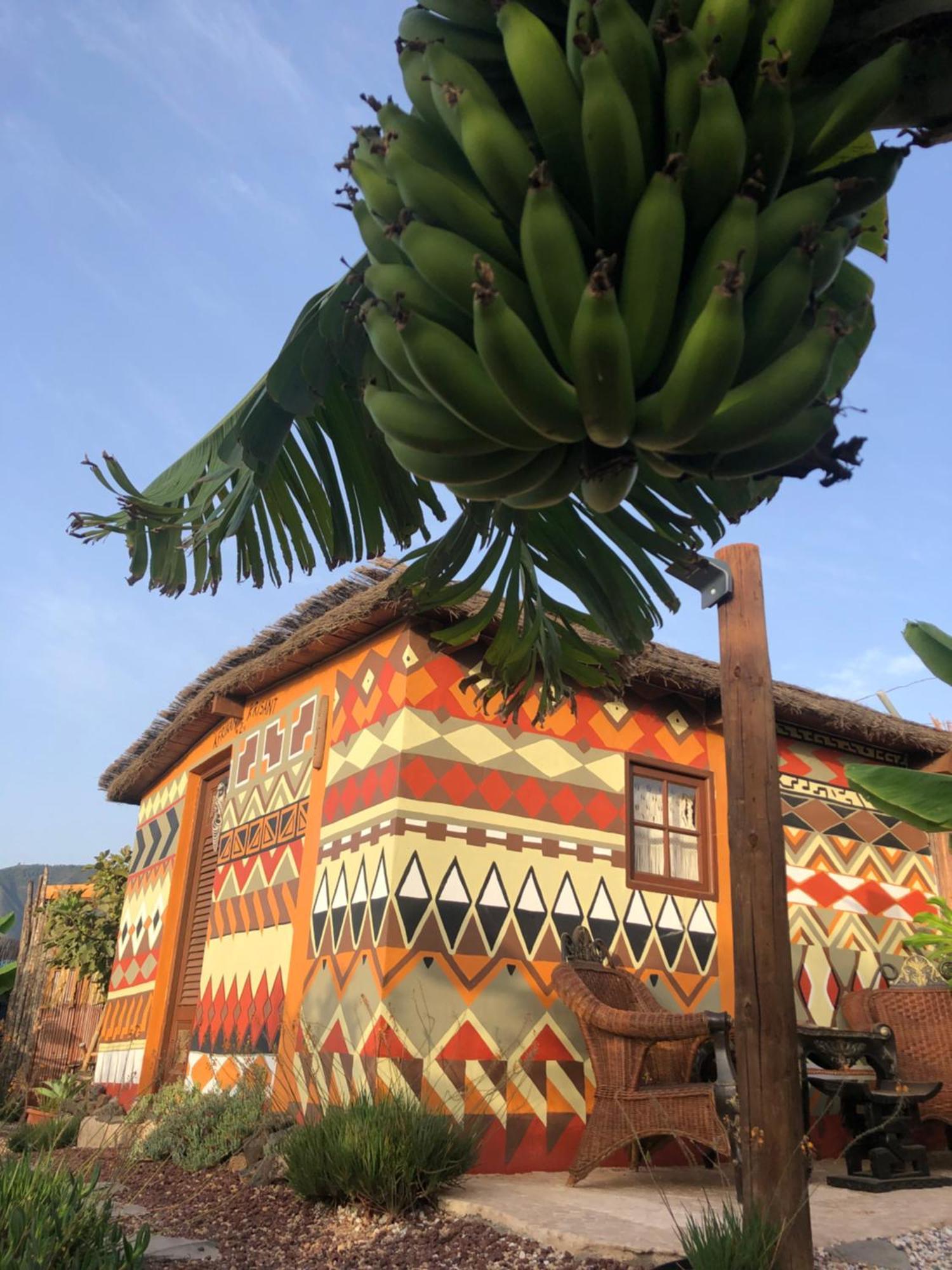 Afrikan Krisant Tenerife, Casa Rural Ecologica Arafo Exterior photo