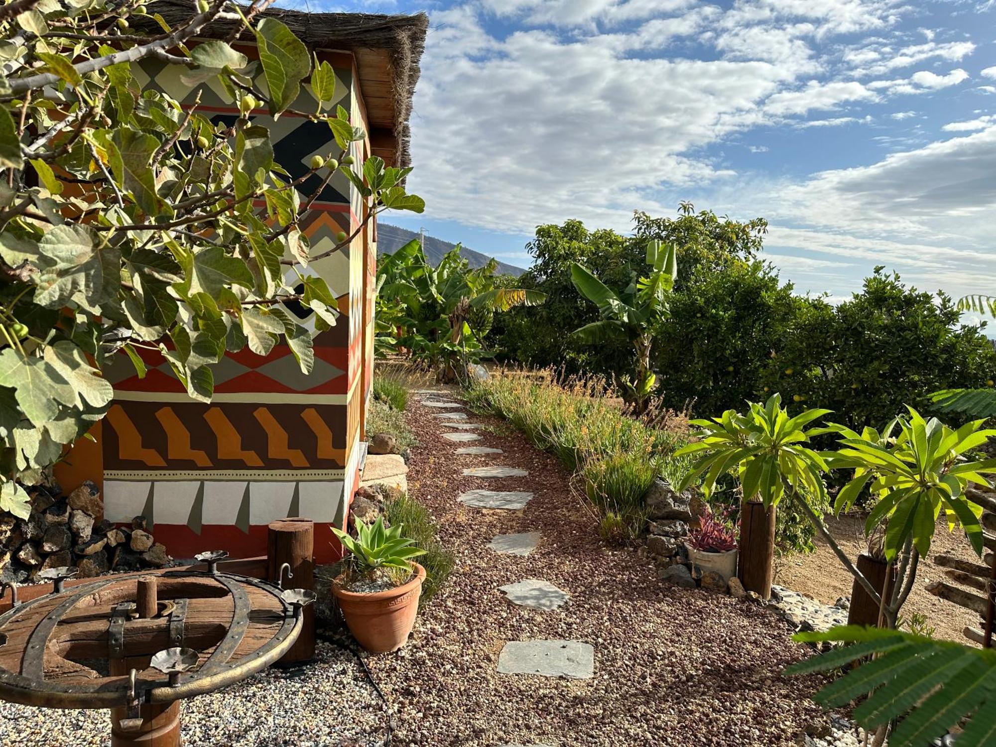 Afrikan Krisant Tenerife, Casa Rural Ecologica Arafo Exterior photo